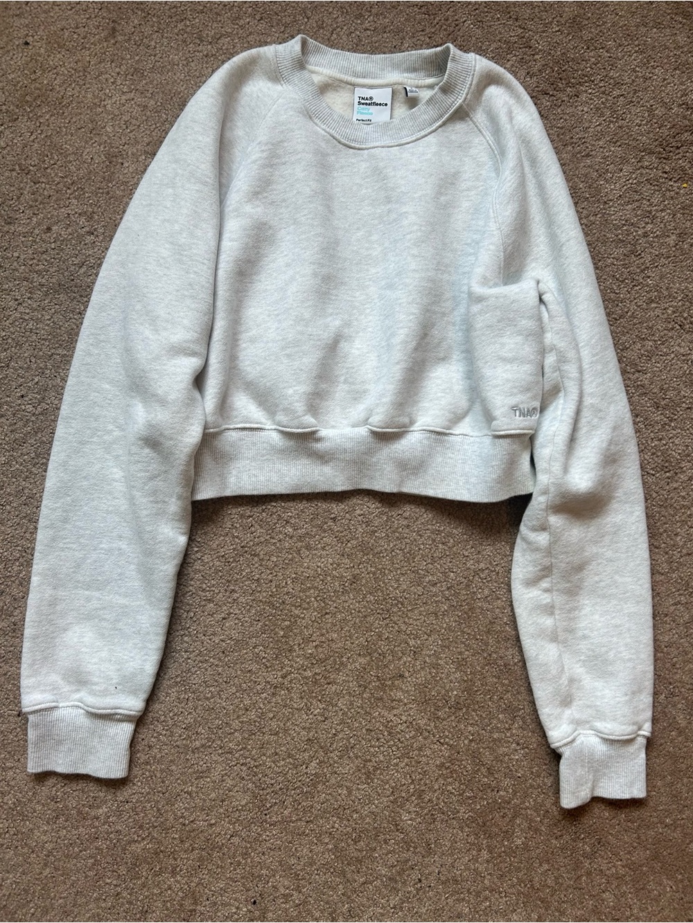 Aritzia TNA Cropped Crewneck Sweater in Light Heather